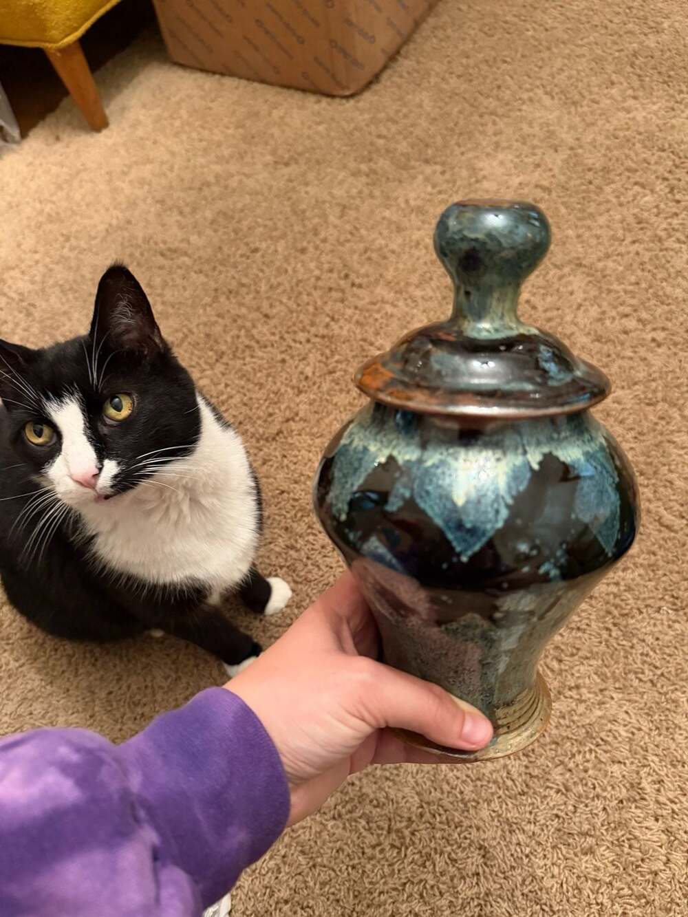 Handcrafted Artisan Studio Pottery Lidded Jar with Blue Drip Glaze